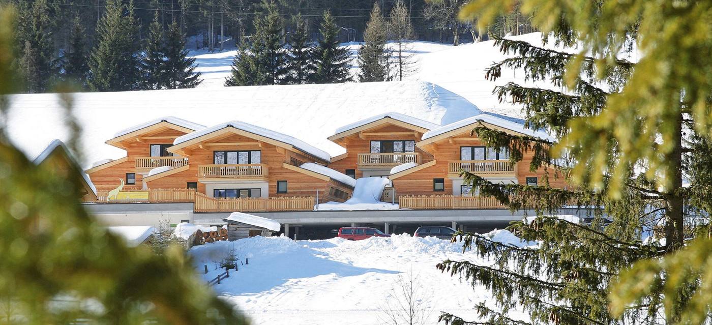 Alpin Chalet Flachauwinkl